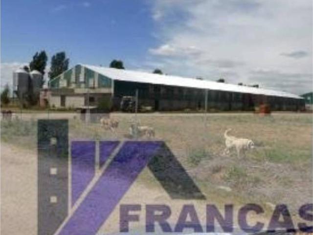Local Comercial en venta en San Vicente Del Palacio, Castilla y León