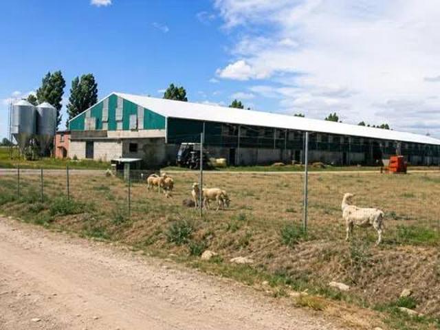 Local Comercial en venta en San Vicente Del Palacio, Castilla y León