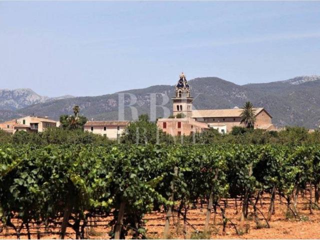 Local Comercial en venta en Raiguer, Baleares