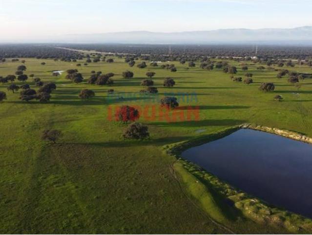 Local Comercial en venta en Saucedilla, Extremadura