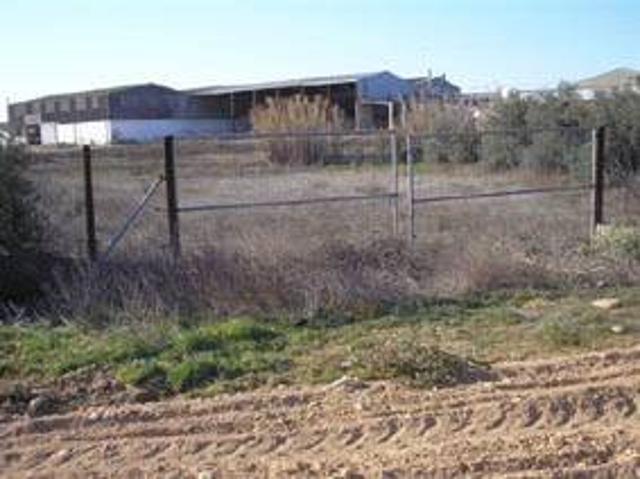 Local Comercial en venta en Segrià, Catalunya