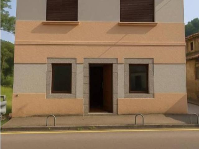 Local Comercial en venta en Teverga, Asturias