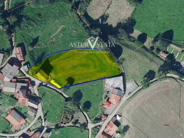 Local Comercial en venta en Tineo, Asturias