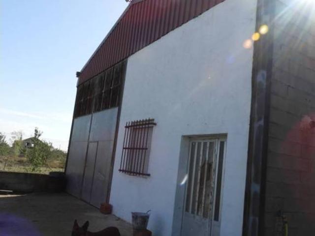 Local Comercial en venta en Tobarra, Castilla-La Mancha
