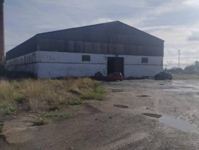 Local Comercial en venta en Tocina, Andalucía