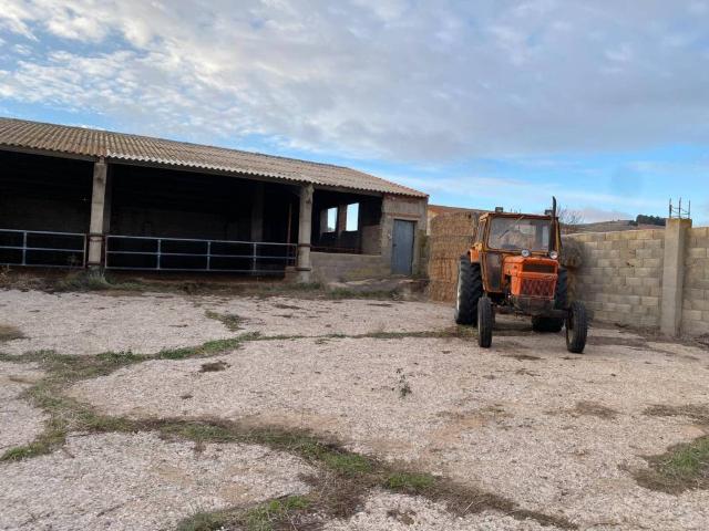 Local Comercial en venta en Tornos, Jiloca