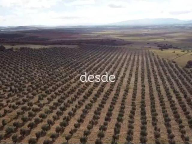 Local Comercial en venta en Torredonjimeno, Jaén