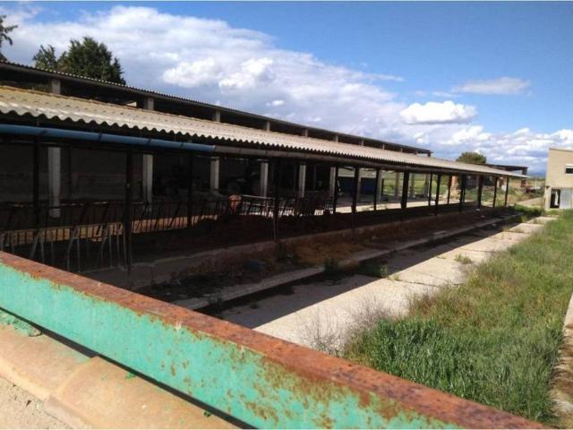 Local Comercial en venta en Segrià, Catalunya
