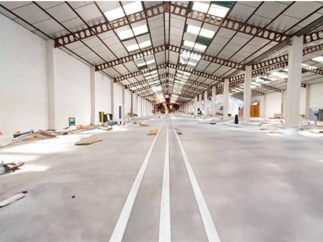 Local Comercial en venta en Soto del Henares, Torrejón De Ardoz