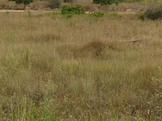 Local Comercial en venta en Traiguera