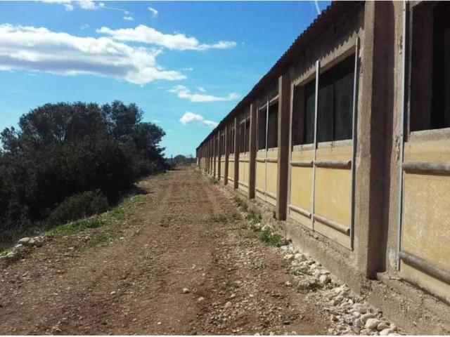 Local Comercial en venta en el Baix Maestrat, Valencia