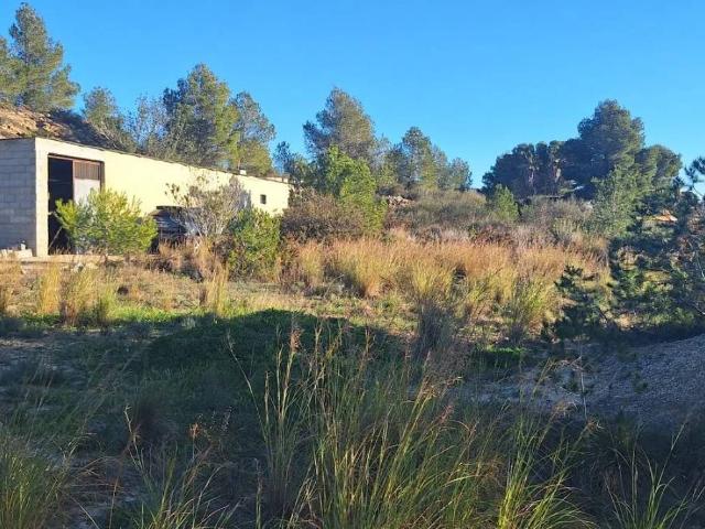 Local Comercial en venta en la Ribera Alta, Valencia