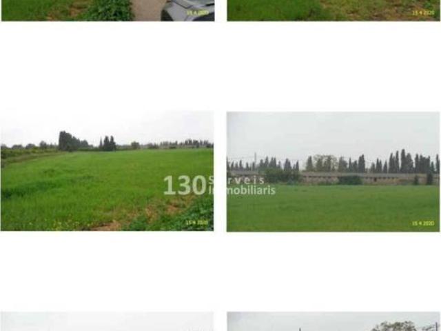Local Comercial en venta en Montsià, Catalunya
