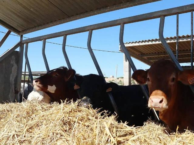 Local Comercial en venta en Montsià, Catalunya