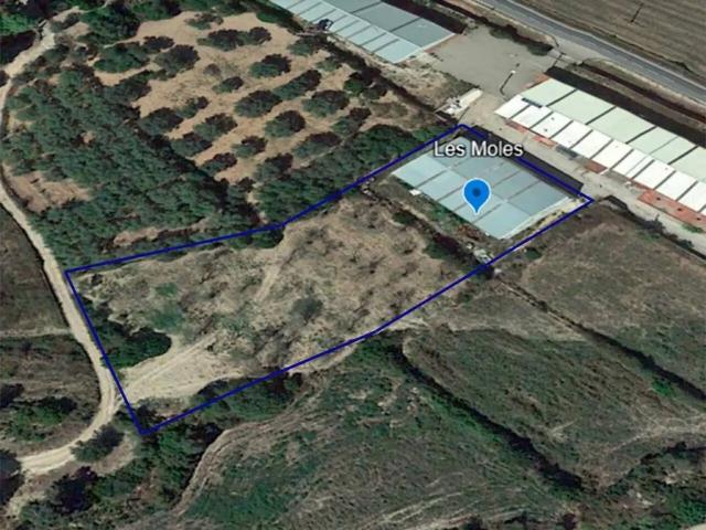 Local Comercial en venta en Montsià, Catalunya