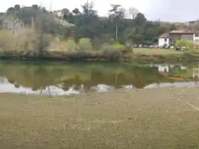 Local Comercial en venta en Val De San Vicente, Cantabria