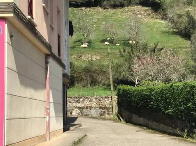 Local Comercial en venta en Valdáliga, Cantabria