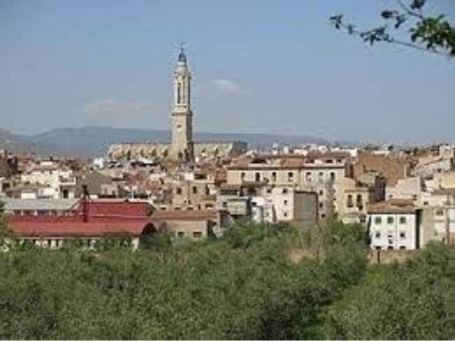 Local Comercial en venta en Alt Camp, Catalunya