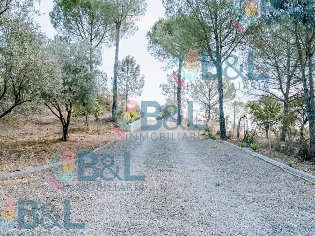 Local Comercial en venta en Valverde Del Camino