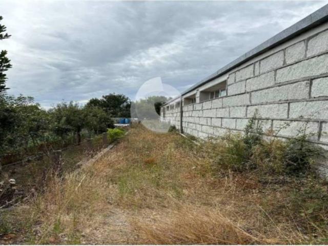 Local Comercial en venta en A Limia, Galicia