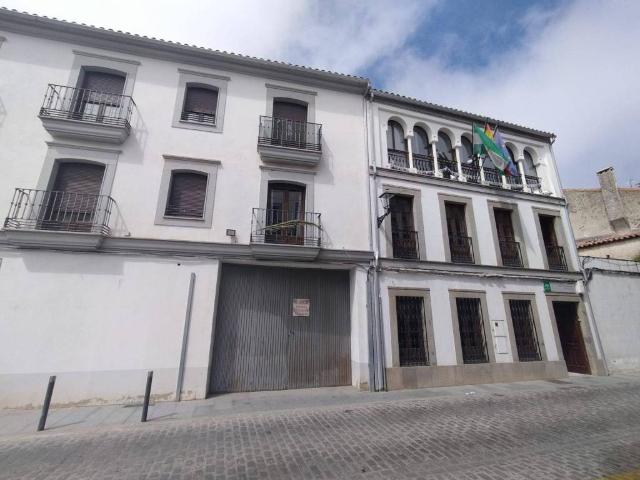 Local Comercial en venta en Villanueva De Córdoba, Andalucía