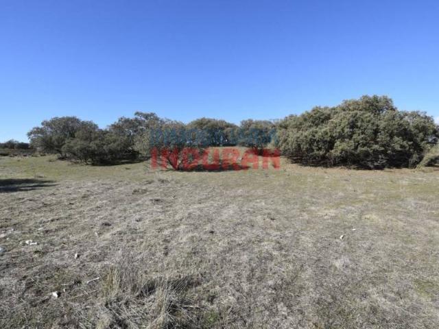 Local Comercial en venta en Villar Del Pedroso, Extremadura