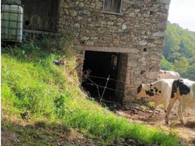 Local Comercial en venta en Villayón, Asturias