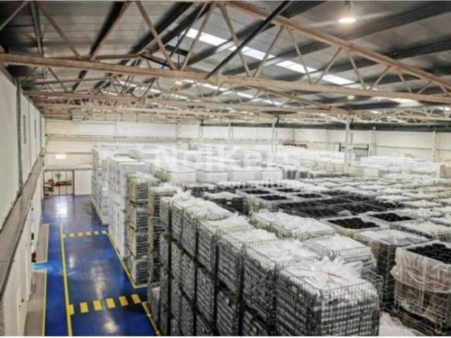 Local Comercial en venta en Alt Penedès, Catalunya