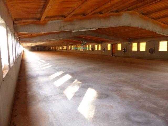 Local Comercial en venta en Alt Penedès, Catalunya