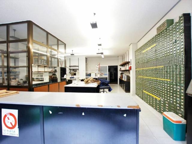 Local Comercial en venta en Barrio La Lana, Zamora