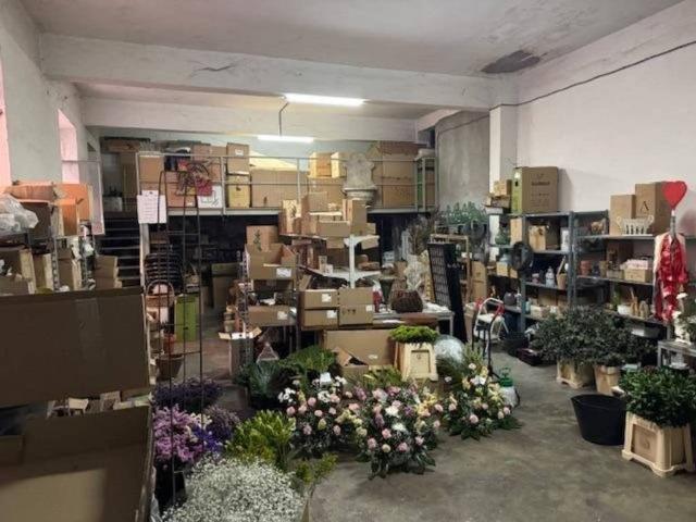 Local Comercial en venta en Zamora, Castilla y León