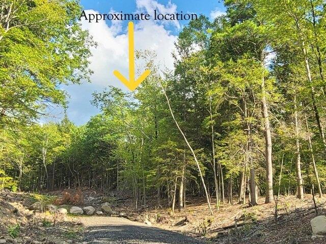 Land for sale in New Hampshire