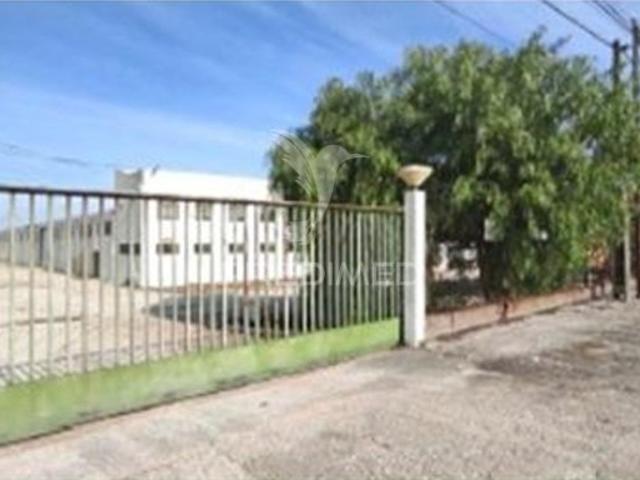 Armazém venda em Torres Novas, Santarém