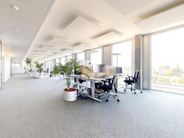 Büro kaufen in Cheseaux-Lausanne, Waadt