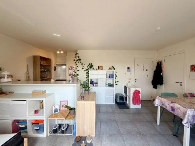 Appartement location à Tielt, West-Vlaanderen