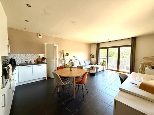 Kot location à Desteldonk, Oost-Vlaanderen