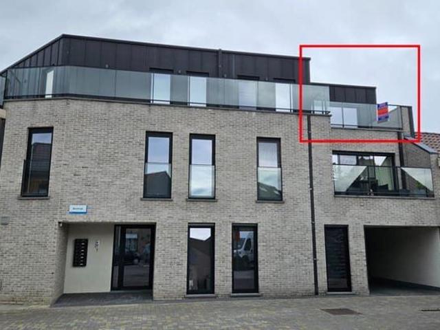 Kot location à Berlare