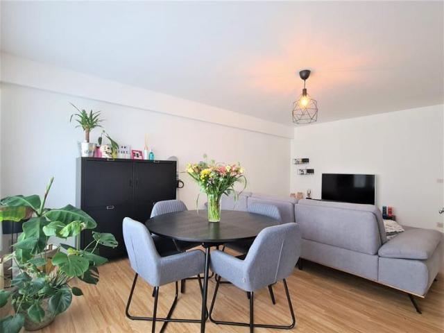 Appartement location à Bornem, Antwerpen