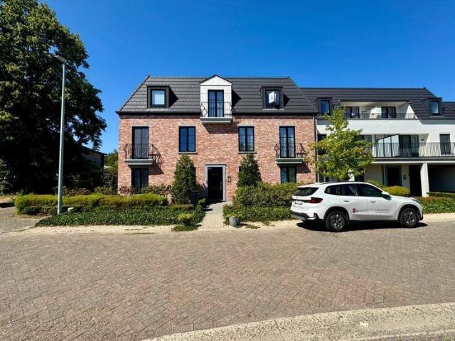 Kot location à Oud-turnhout, Antwerpen