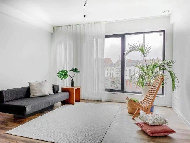 Appartement location à Zottegem, Oost-Vlaanderen
