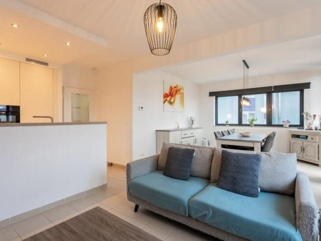 Appartement location à Halle, Brabant