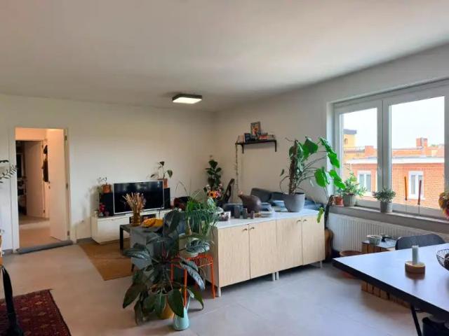Appartement location à Hasselt, Limburg