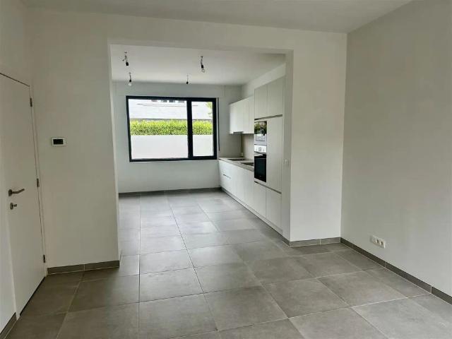 Maison location à Audenarde, Oost-Vlaanderen