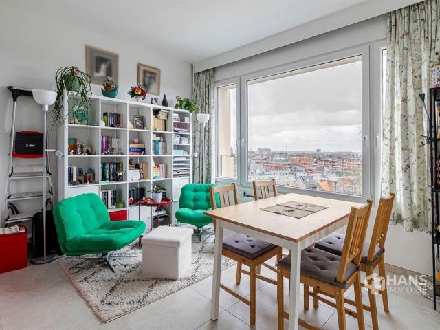Kot location à Haringrode, Antwerpen