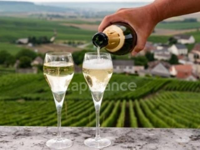 Local Commercial vente à Châlons-en-Champagne, Châlons-en-champagne
