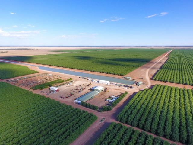 Property for sale in Hillston, New South Wales