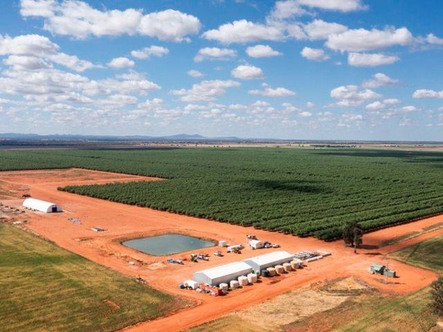 Acreage for sale in Hillston, Carrathool Shire Council