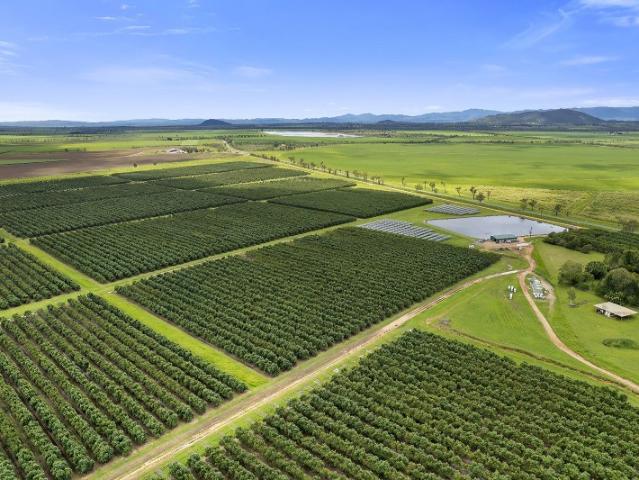 Property for sale in Mareeba, Queensland