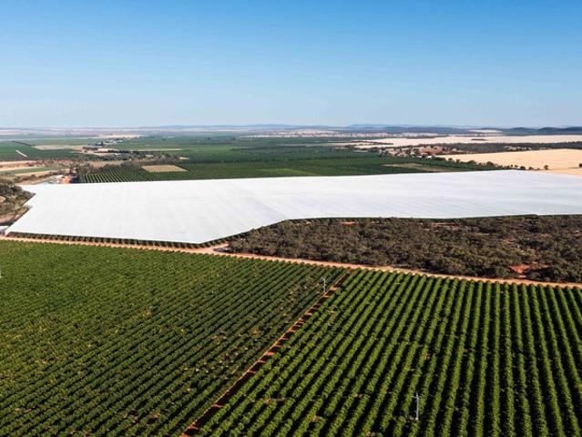 Property for sale in Nericon, New South Wales