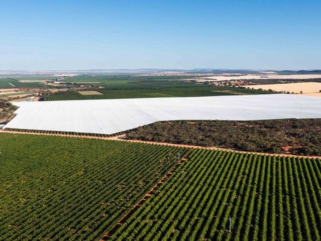 Cottage for sale in Nericon, New South Wales